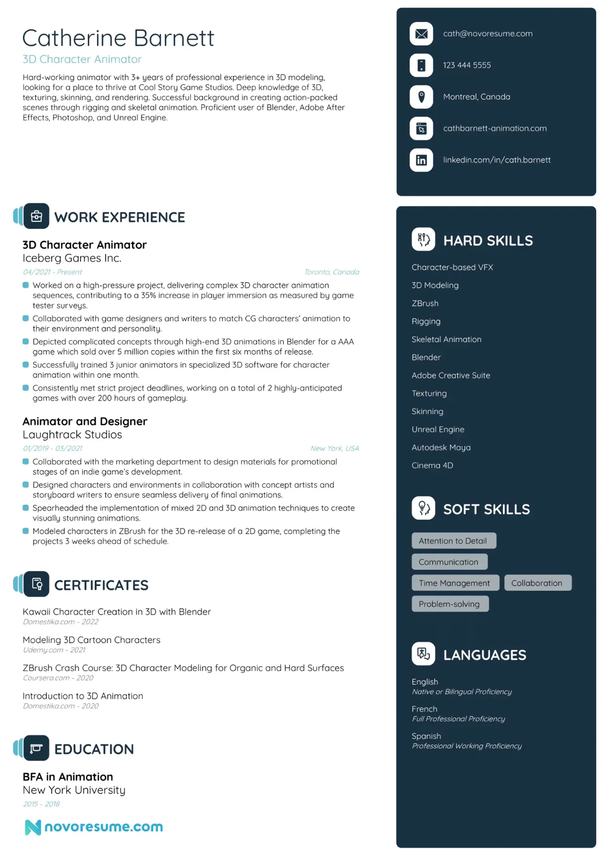 animator resume example drafts animator resume