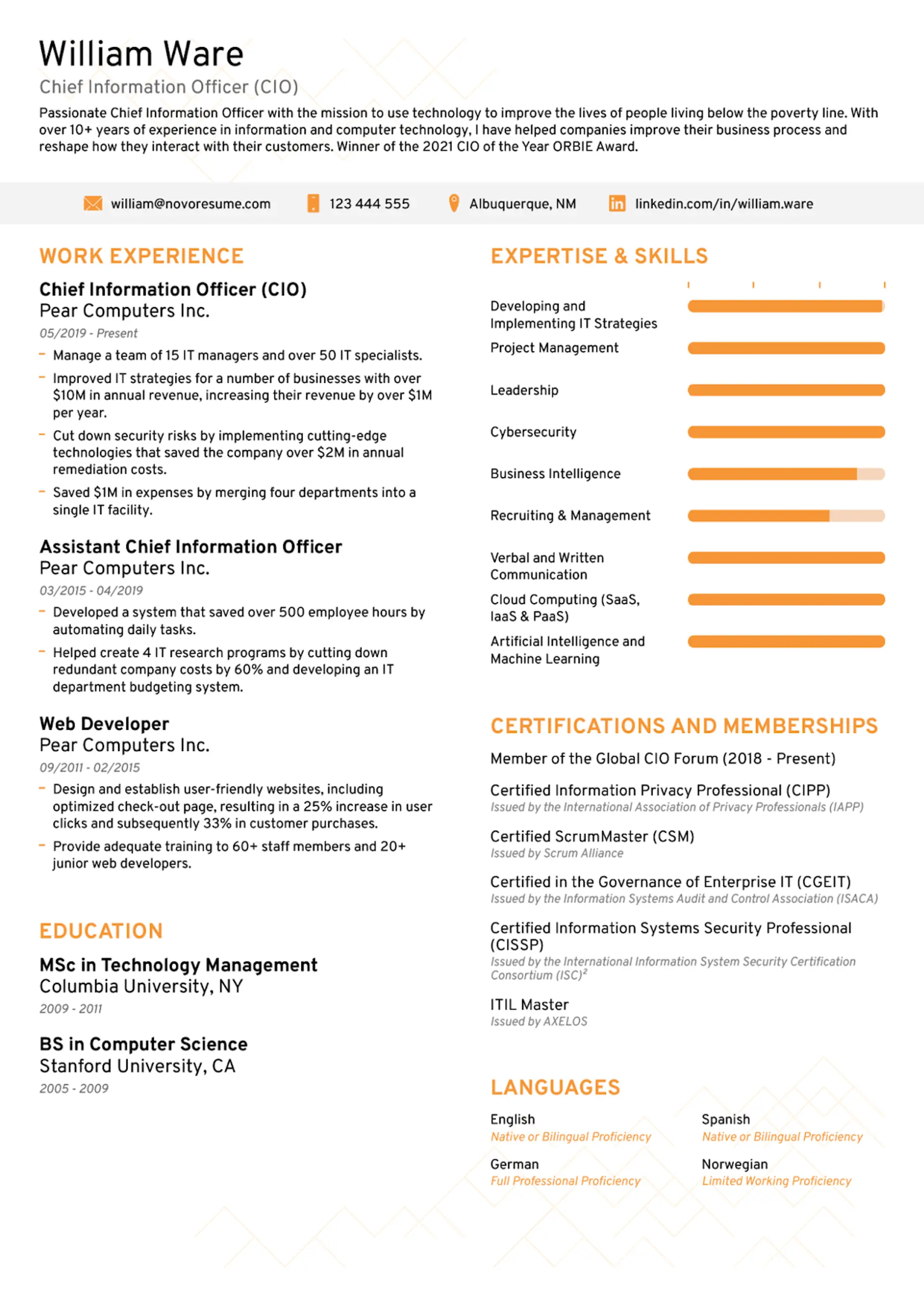 ats resume drafts Executive ATS Resume
