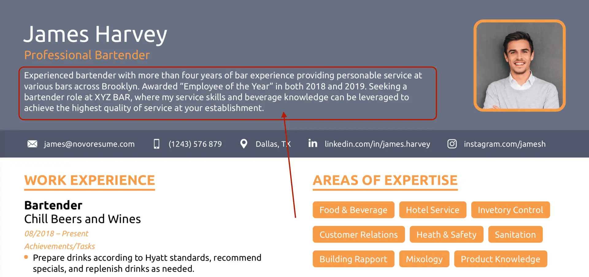 bartender resume drafts resume summary example