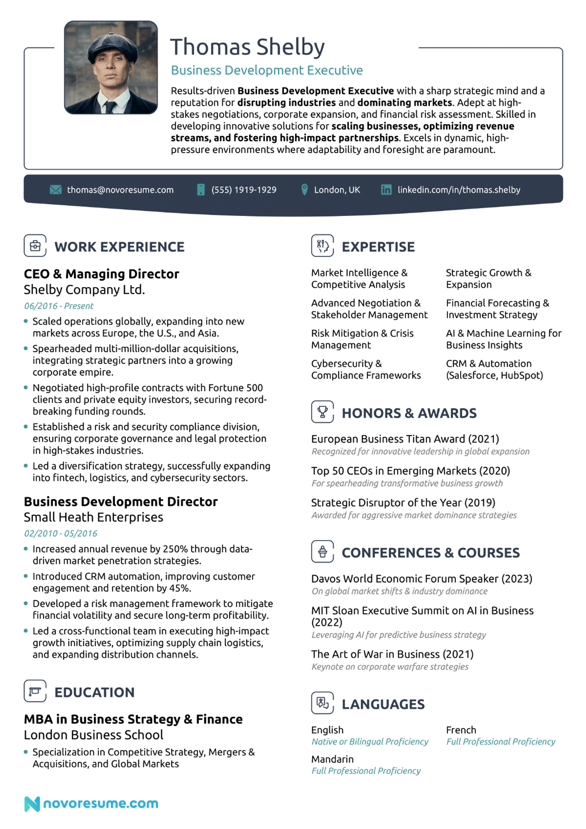 business development manager resume example drafts Business Development Manager Resume