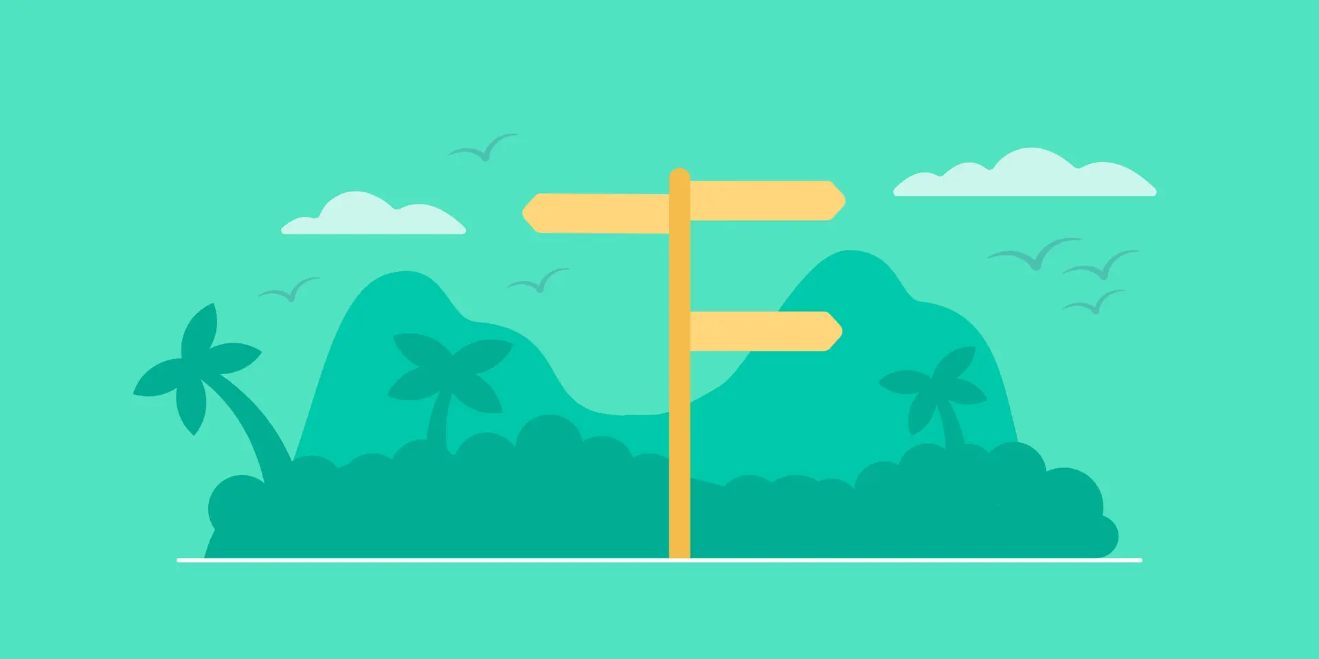 career path