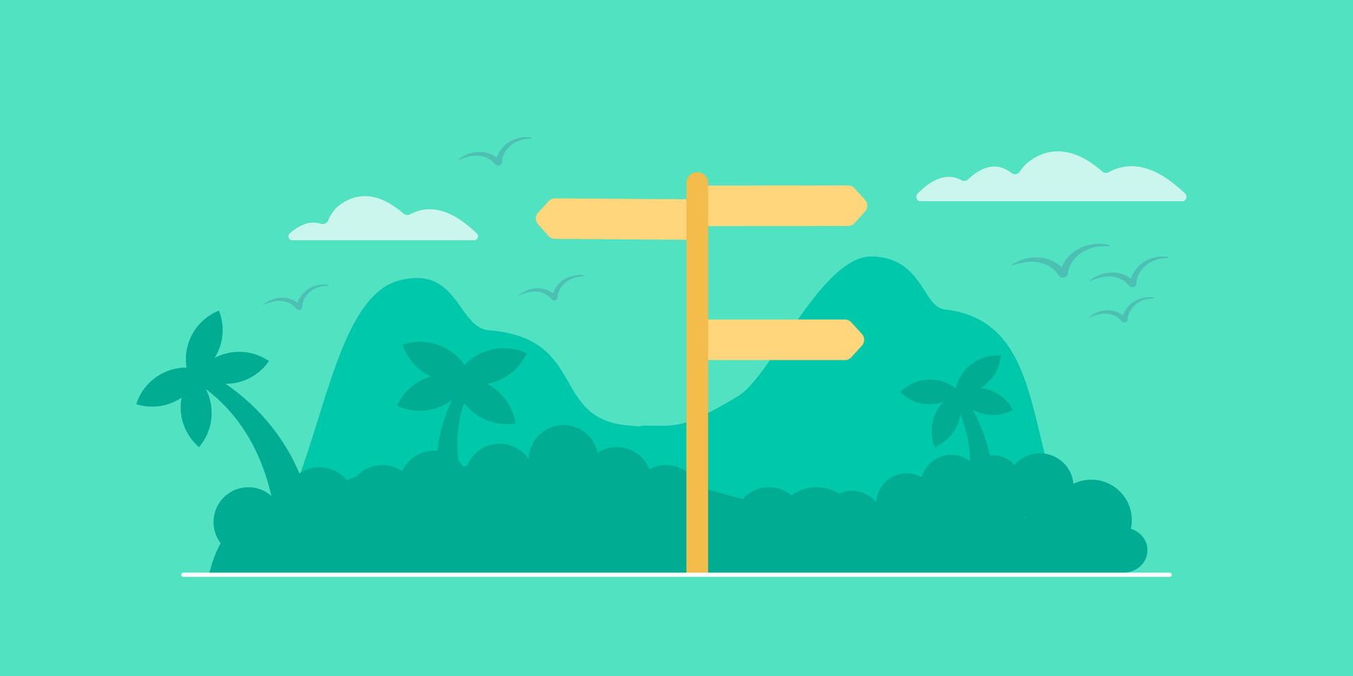 career path
