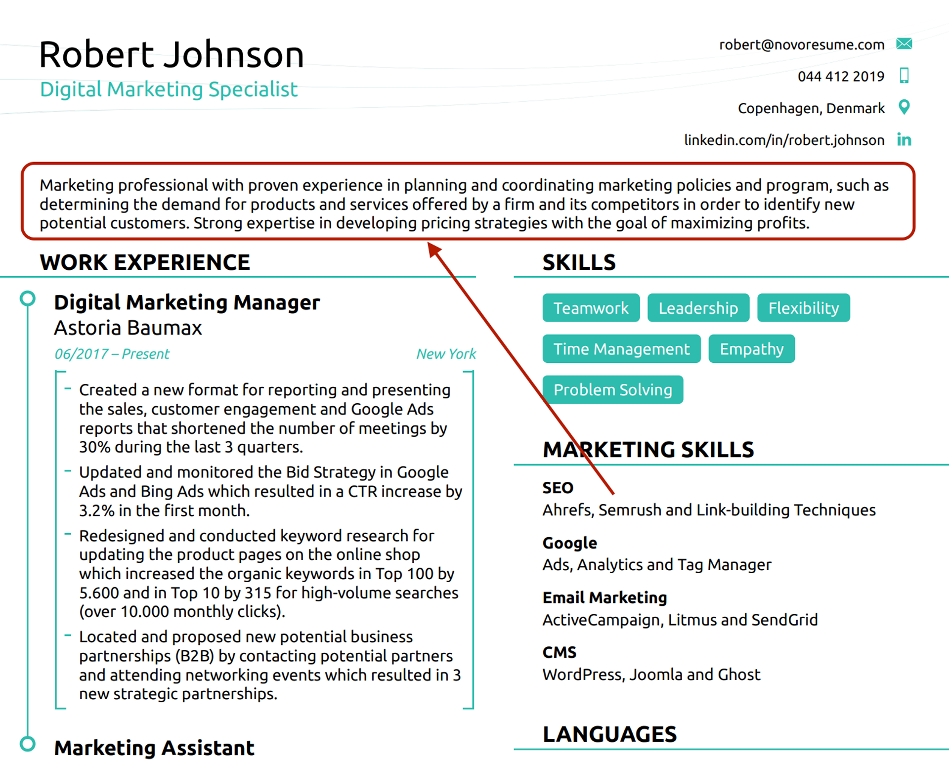 combination resume drafts resume summary combination