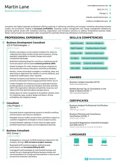 Consultant Resume