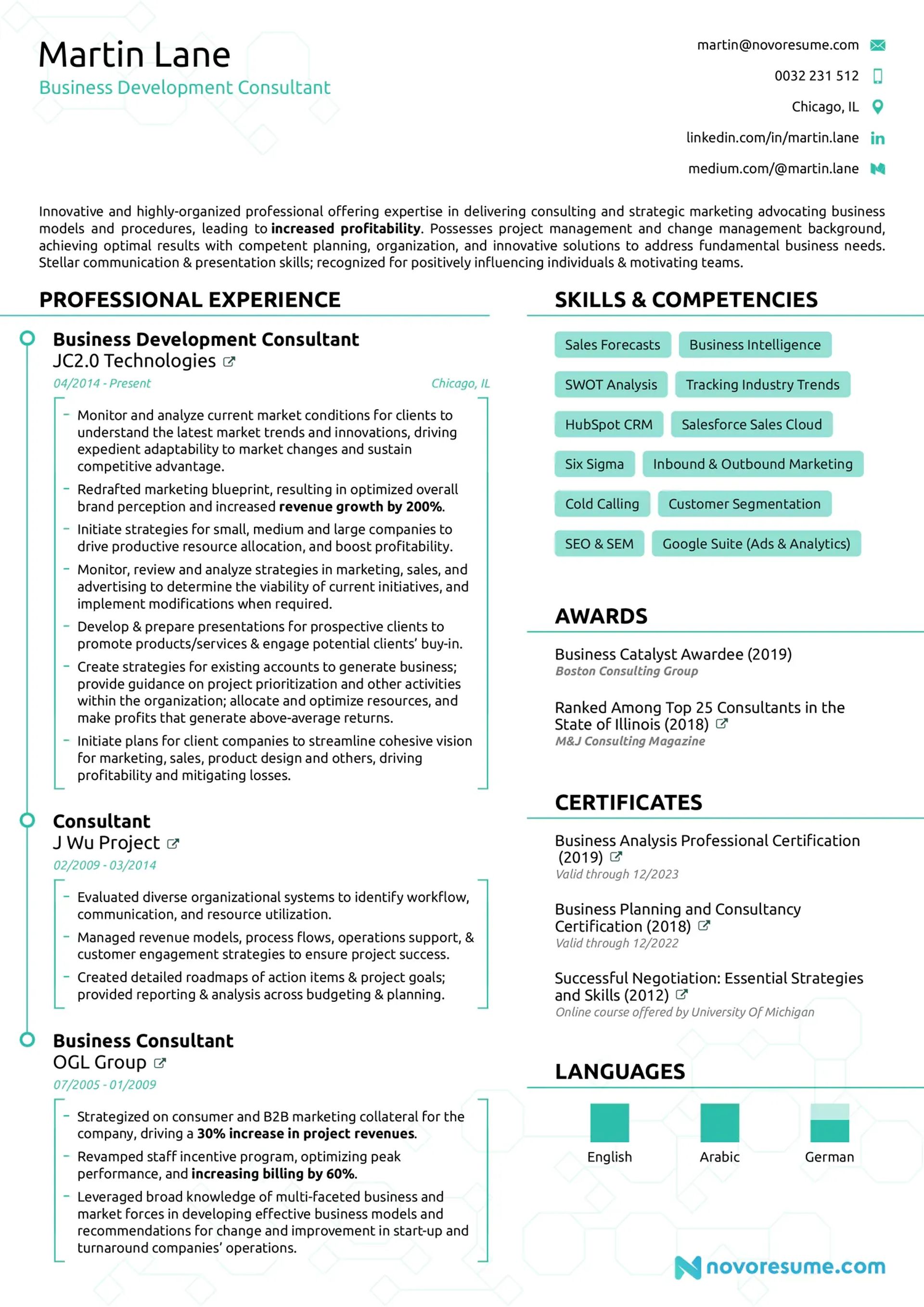 consultant resume drafts Consultant Resume