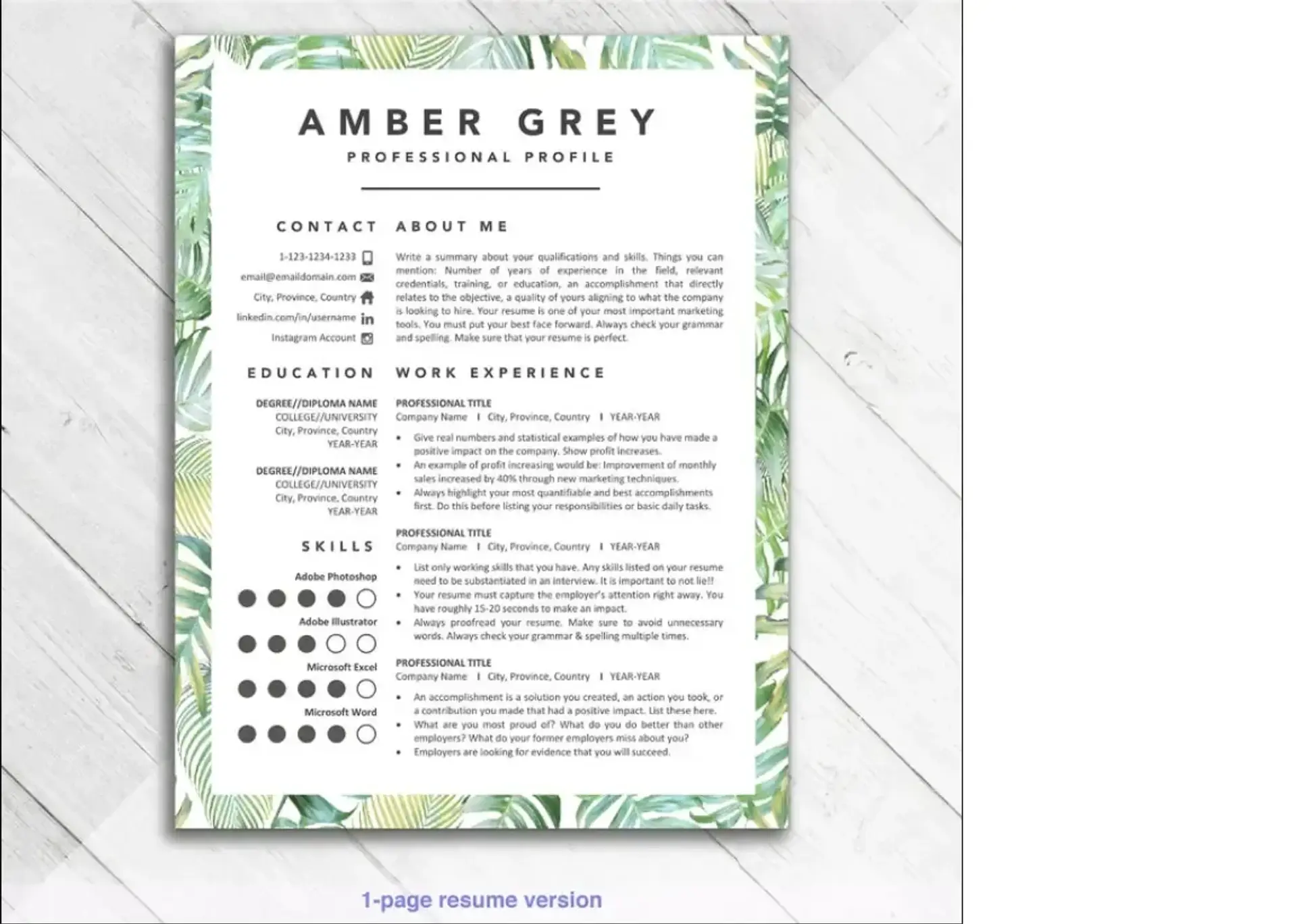 creative resume templates drafts professional creative template