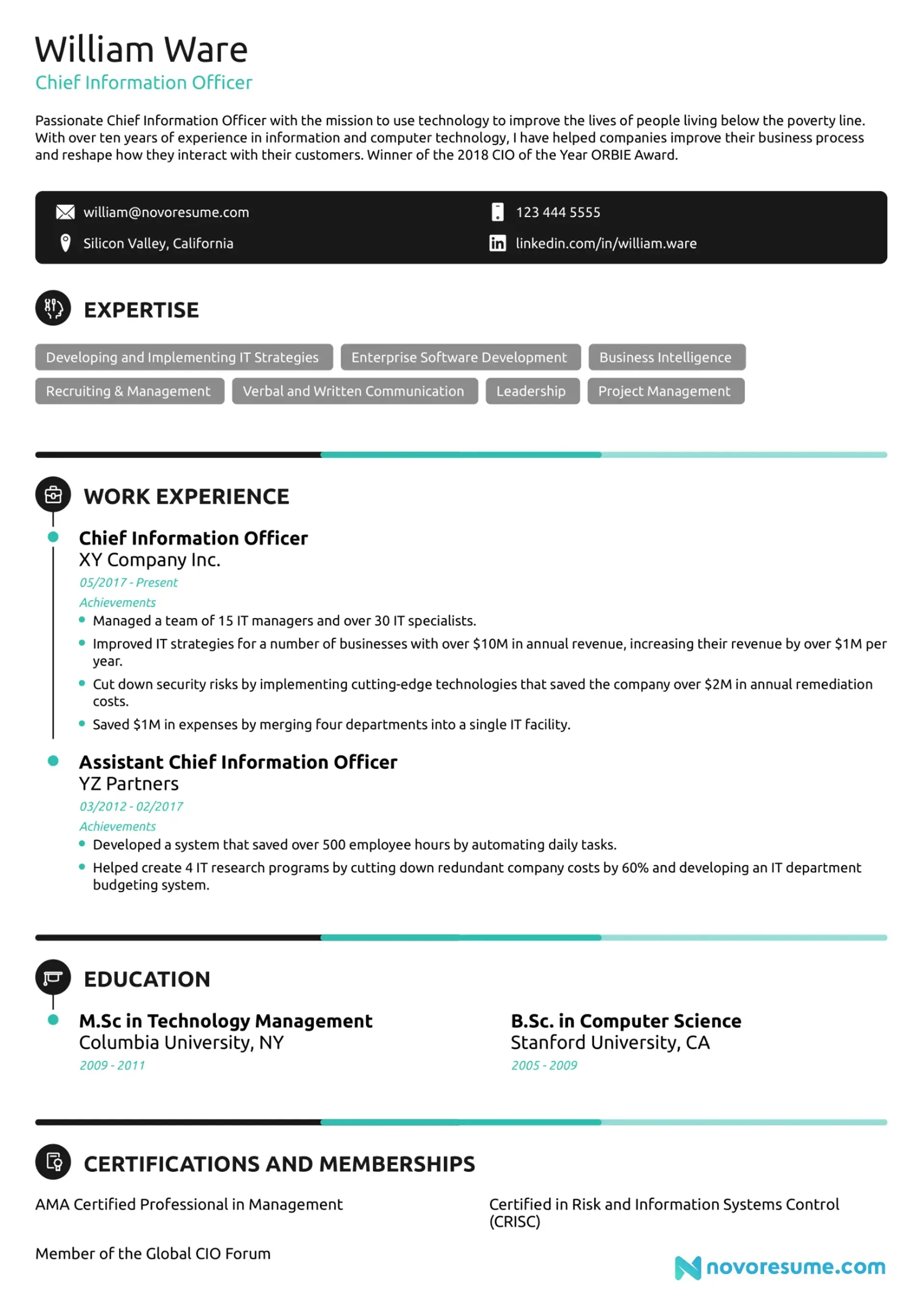cv examples drafts Executive