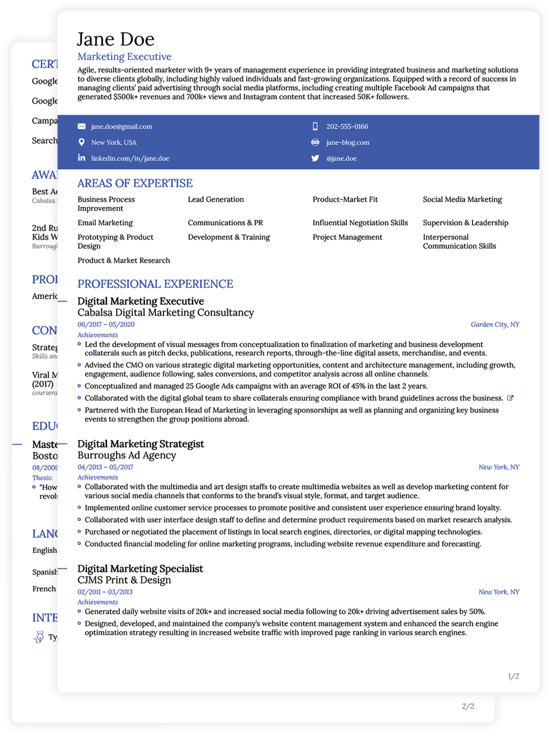 cv examples drafts Simple CV