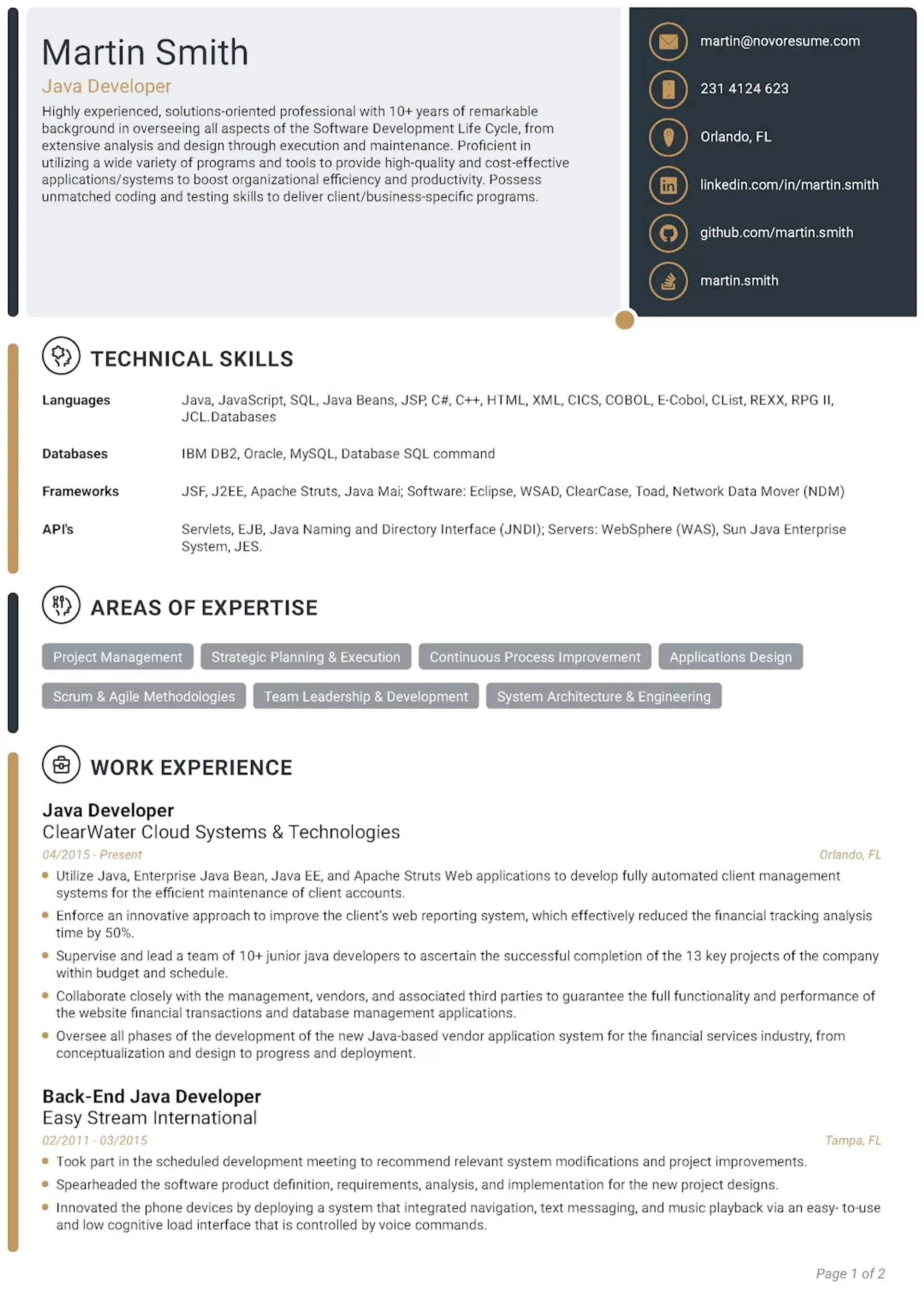 cv format drafts Tech CV