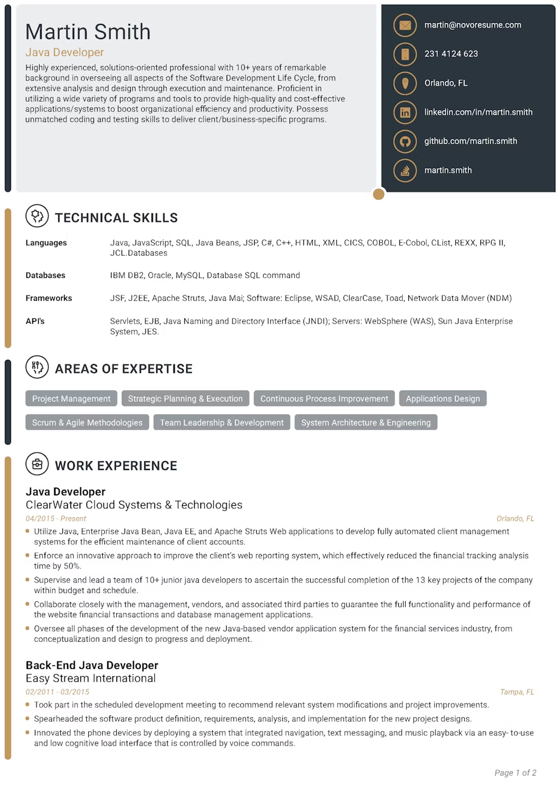 cv format drafts Tech CV