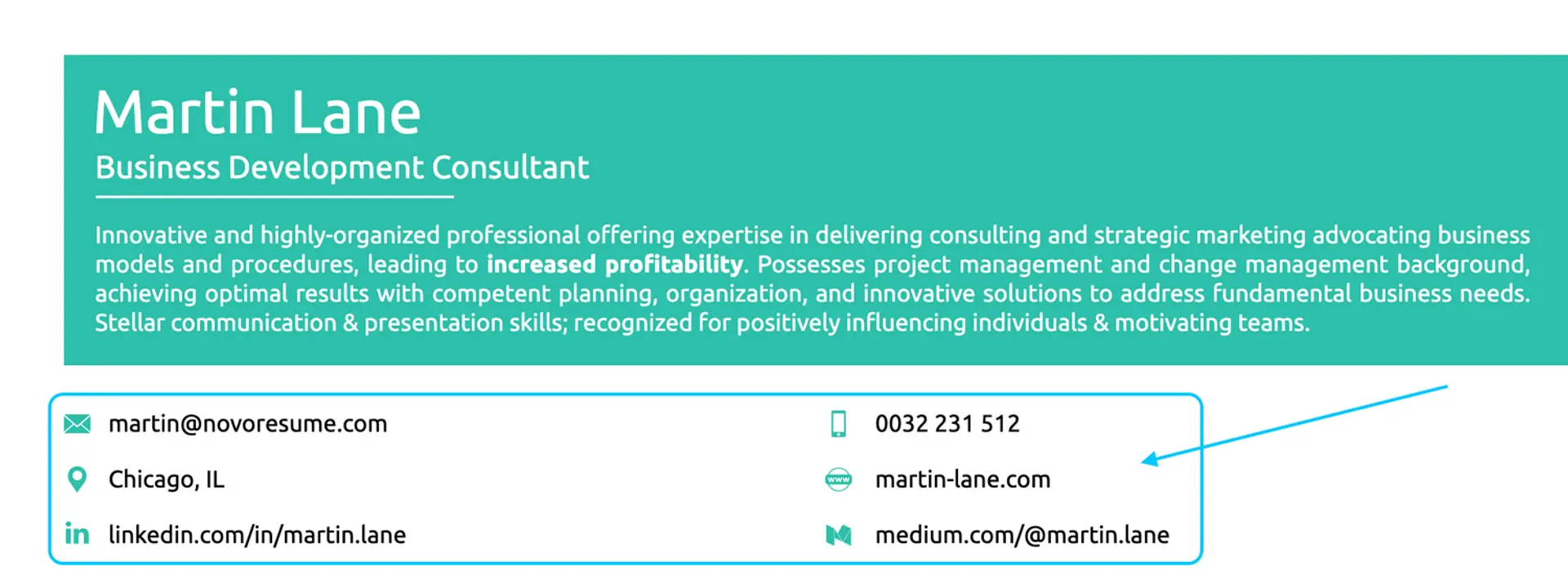 cv mistakes drafts cv mistakes contact