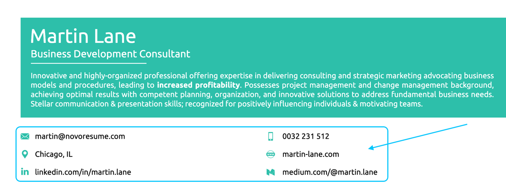 cv mistakes drafts cv mistakes contact