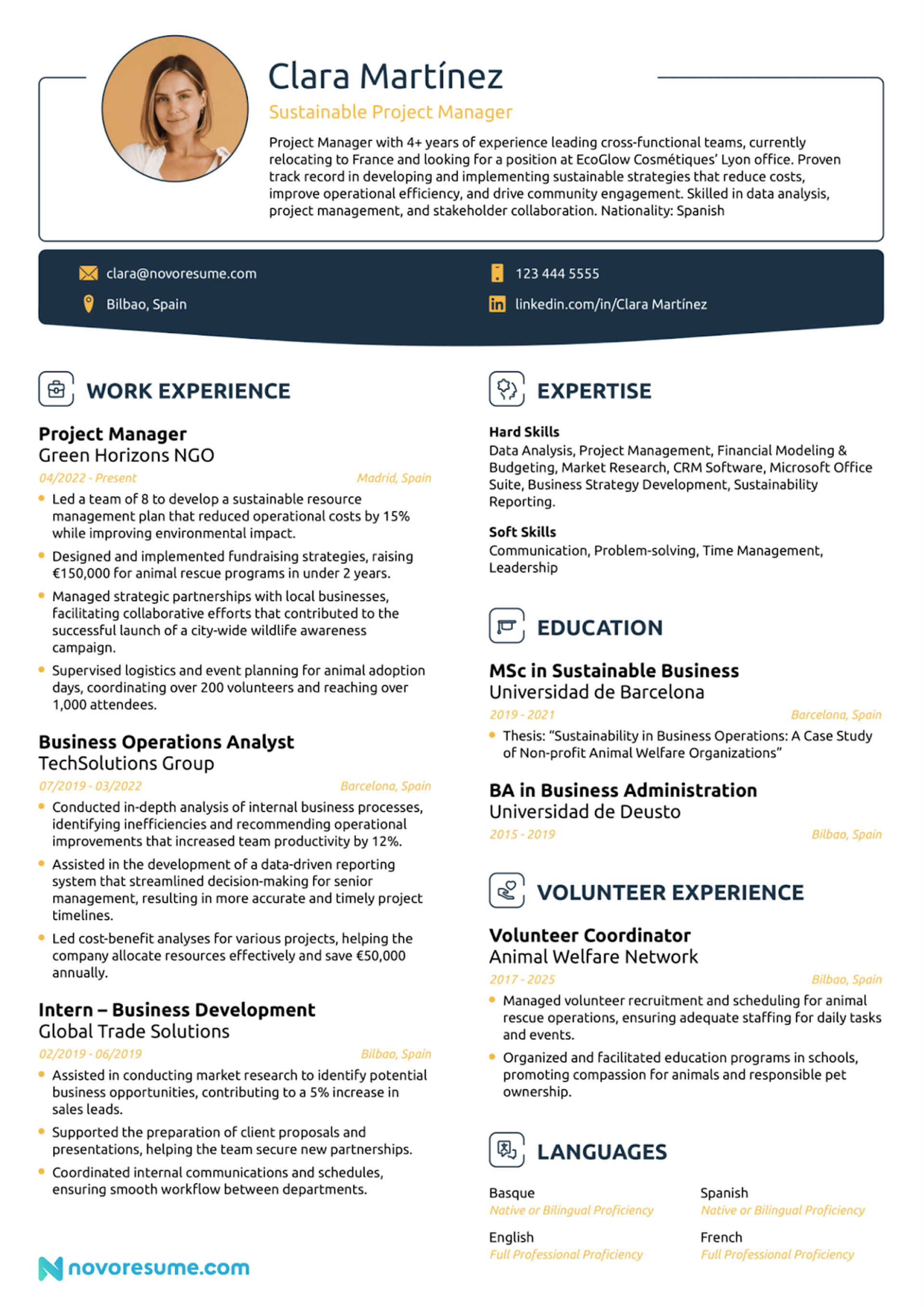 european cv format drafts Advanced CV