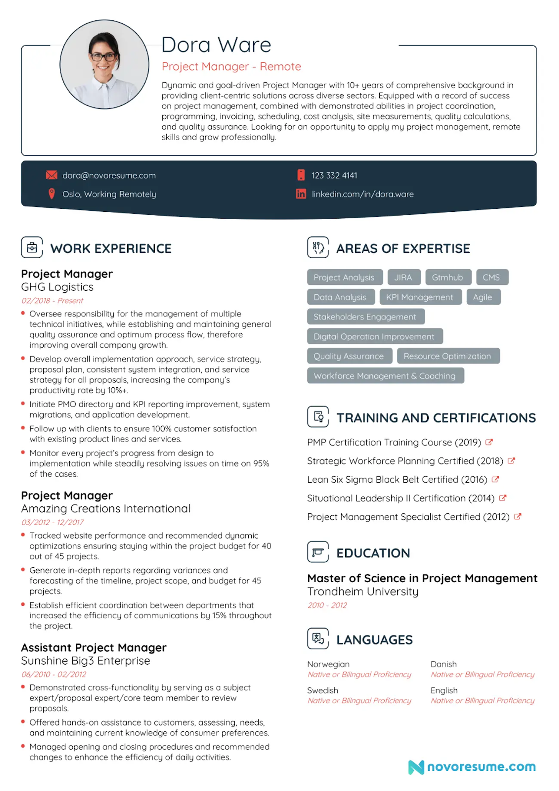 european cv format drafts International CV