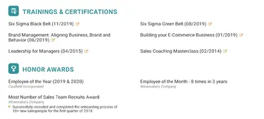 Optional Sections European CV