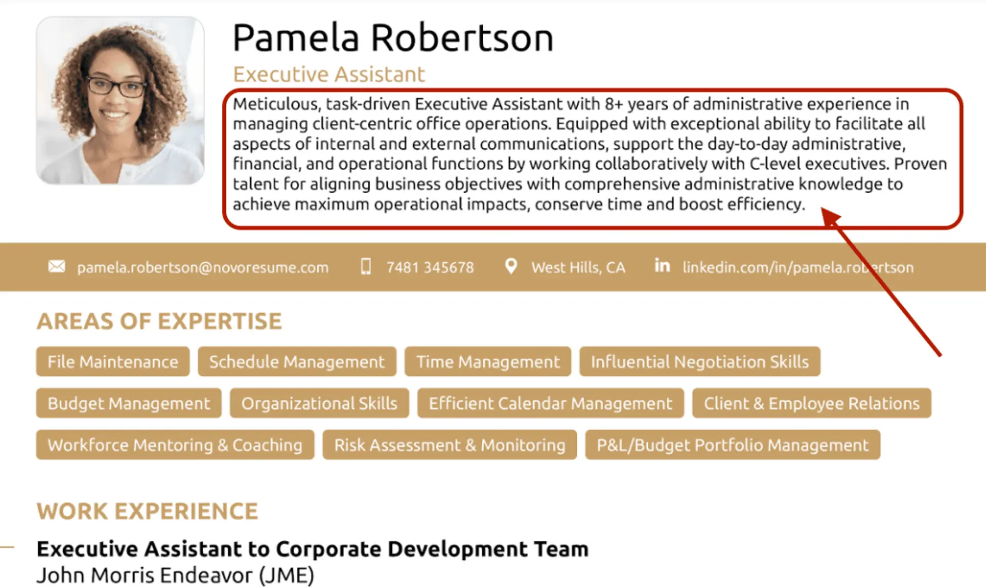 executive assistant resume drafts resume summary for executive