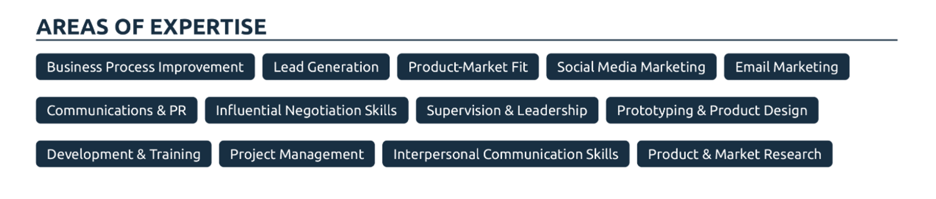 german cv drafts skills for marketing executive