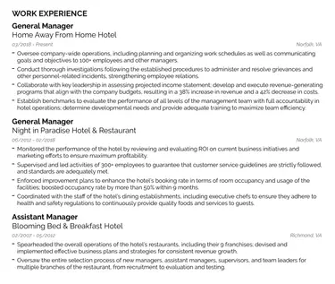 well written CV work experience