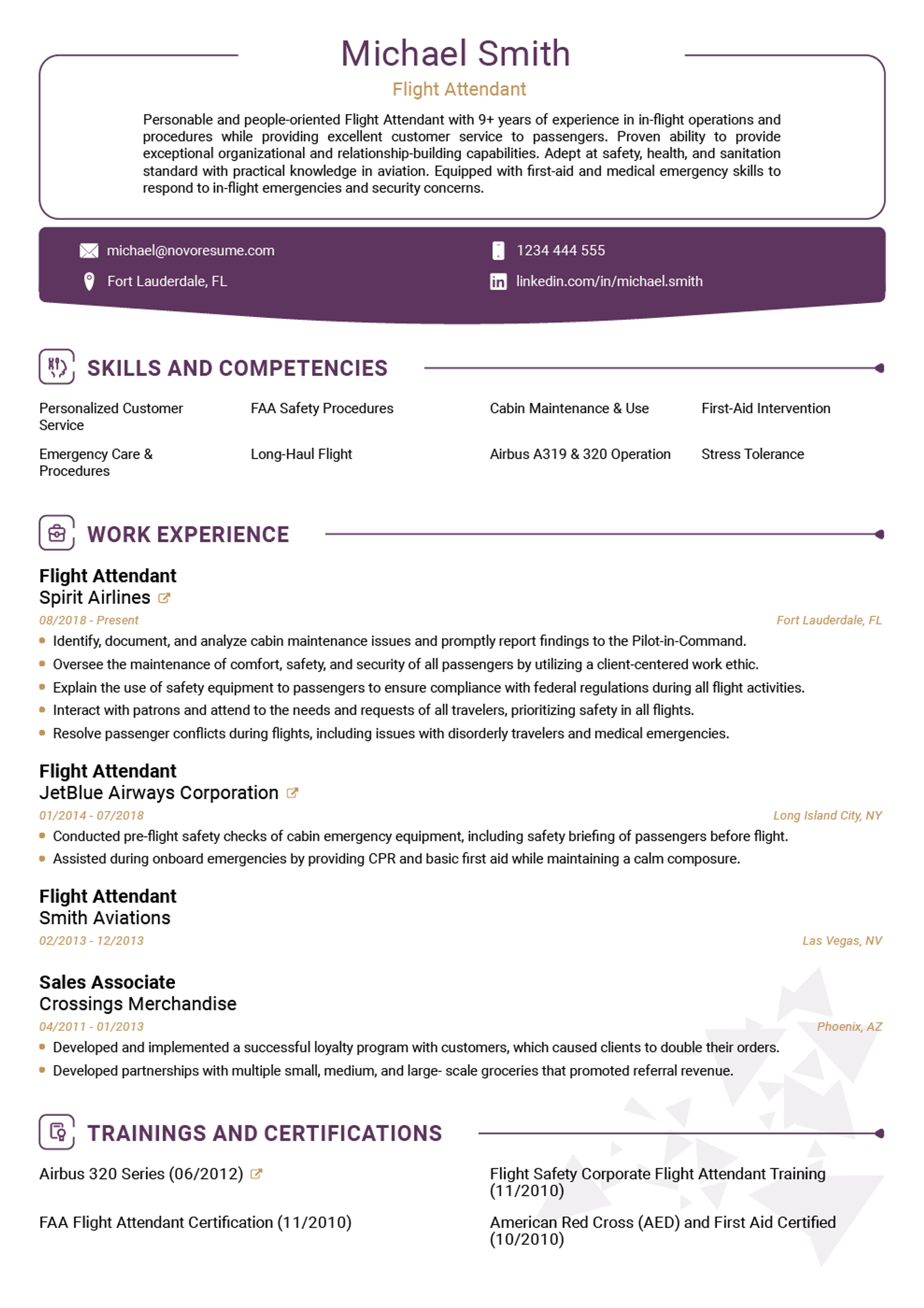 how to write a resume guide drafts Traditional Resume