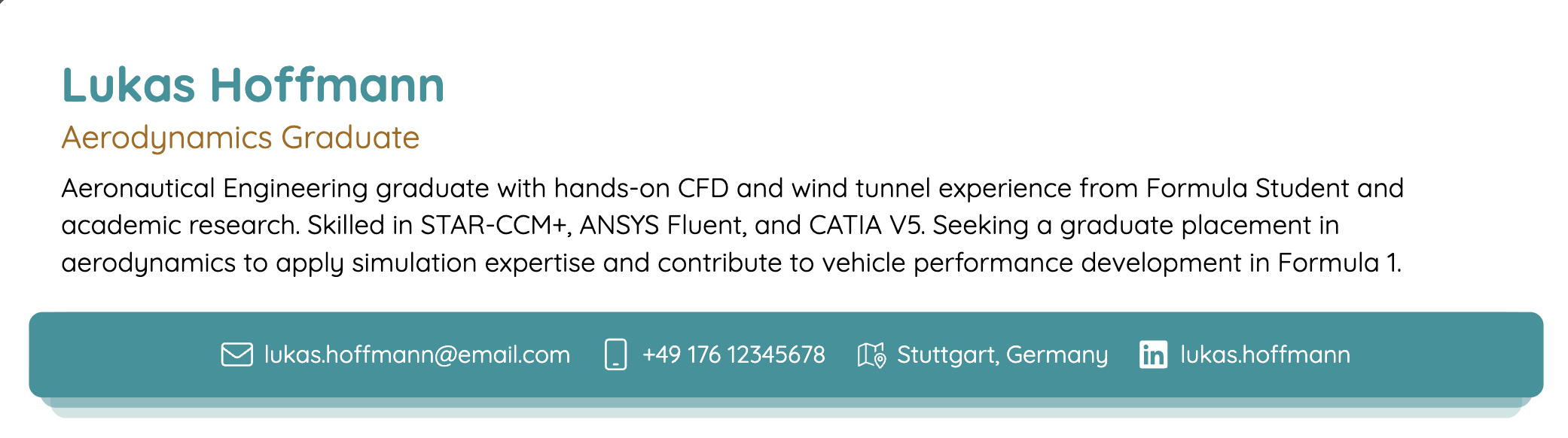 no-experience-resume-header-example