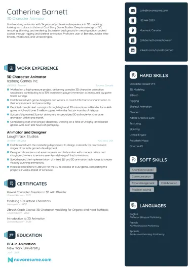 IT CV template