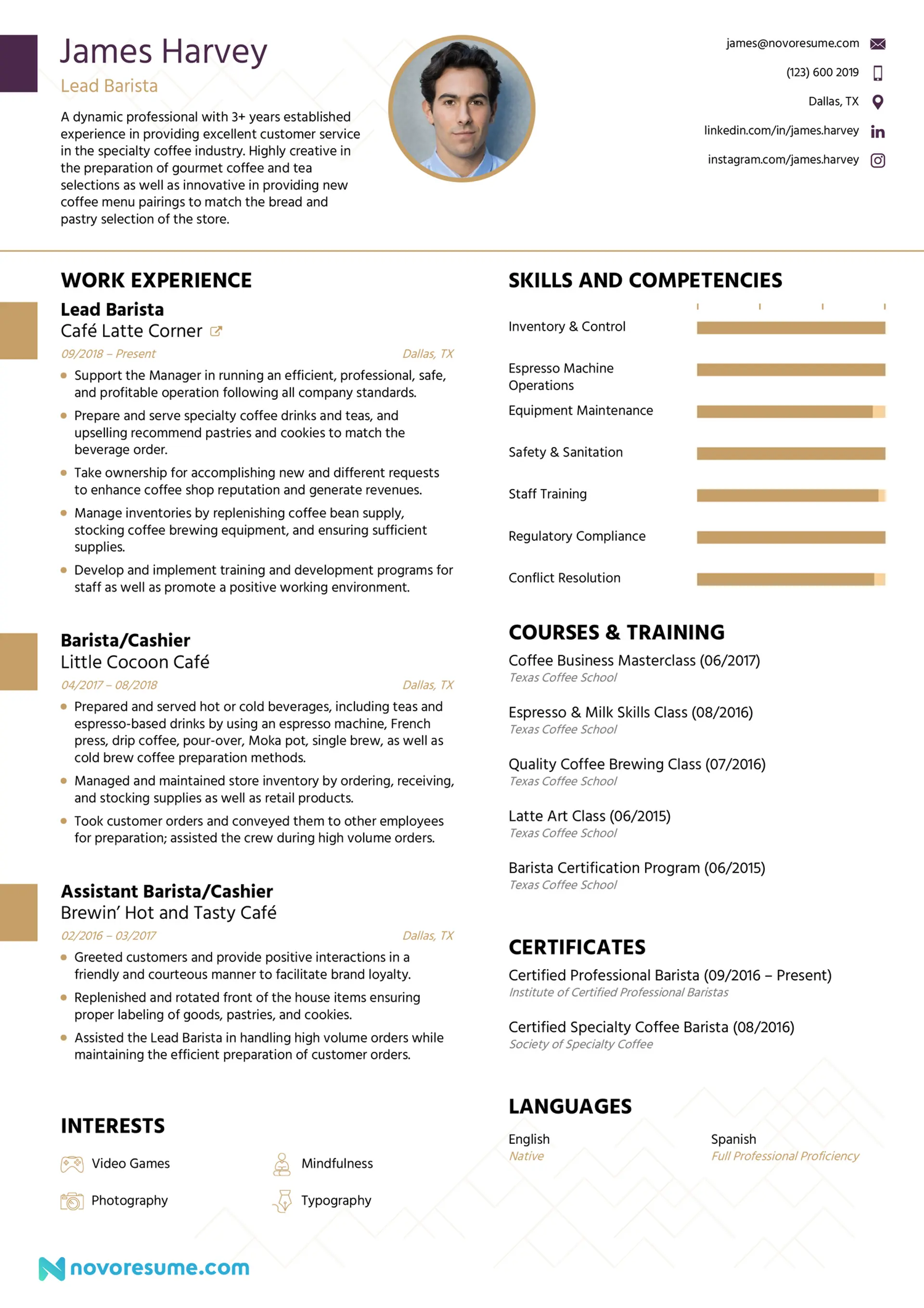 pdf doc cv drafts professional CV template