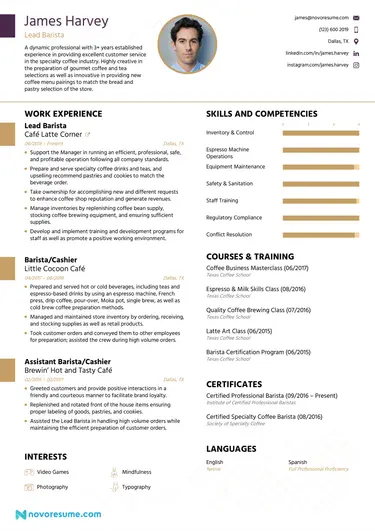 professional CV template