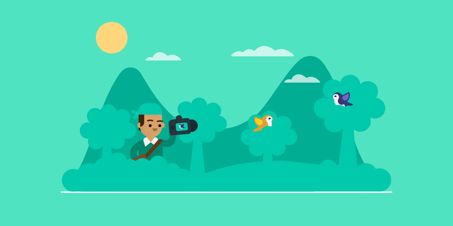 photographer resume example