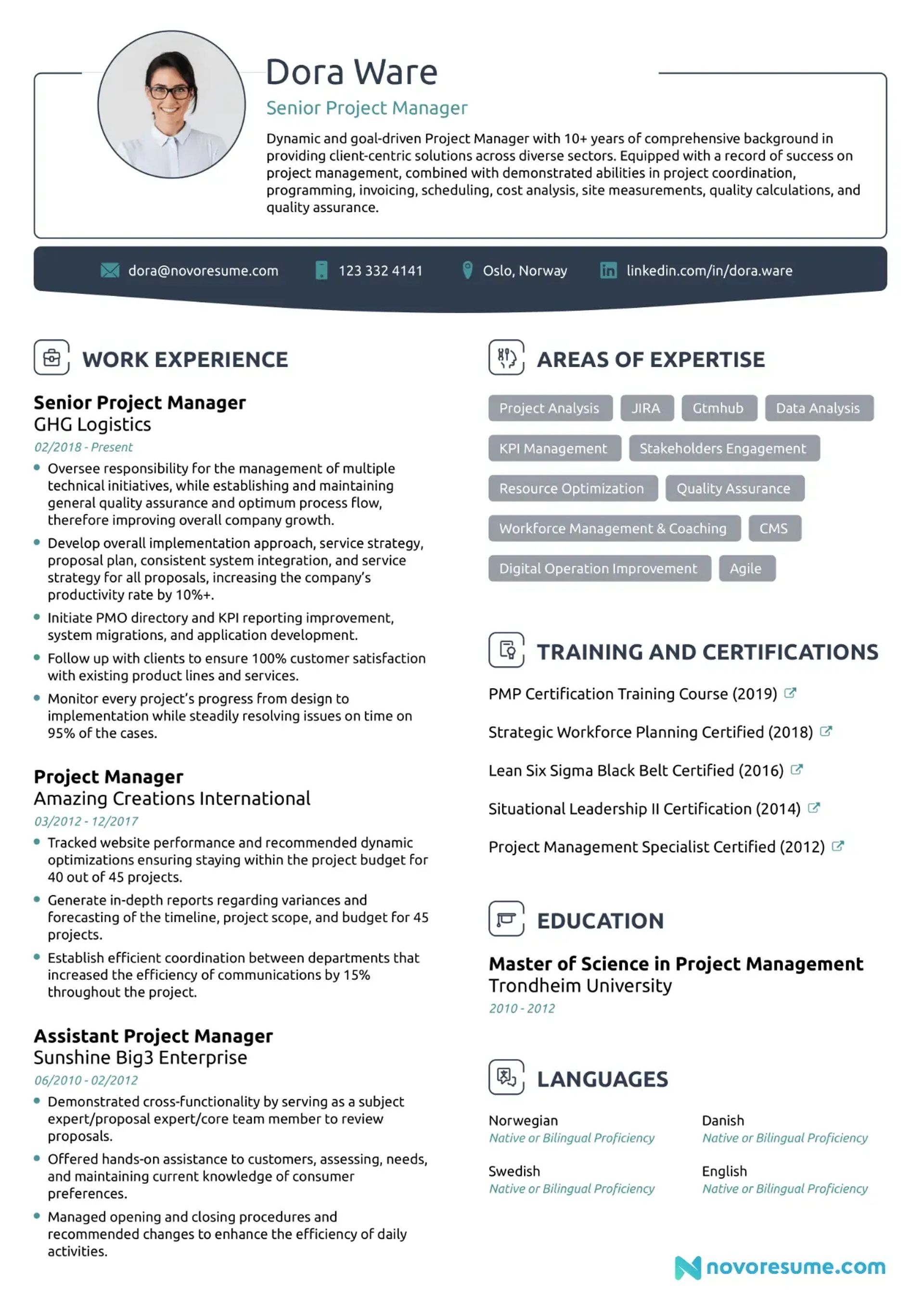 project manager resume drafts Senior Project Manager