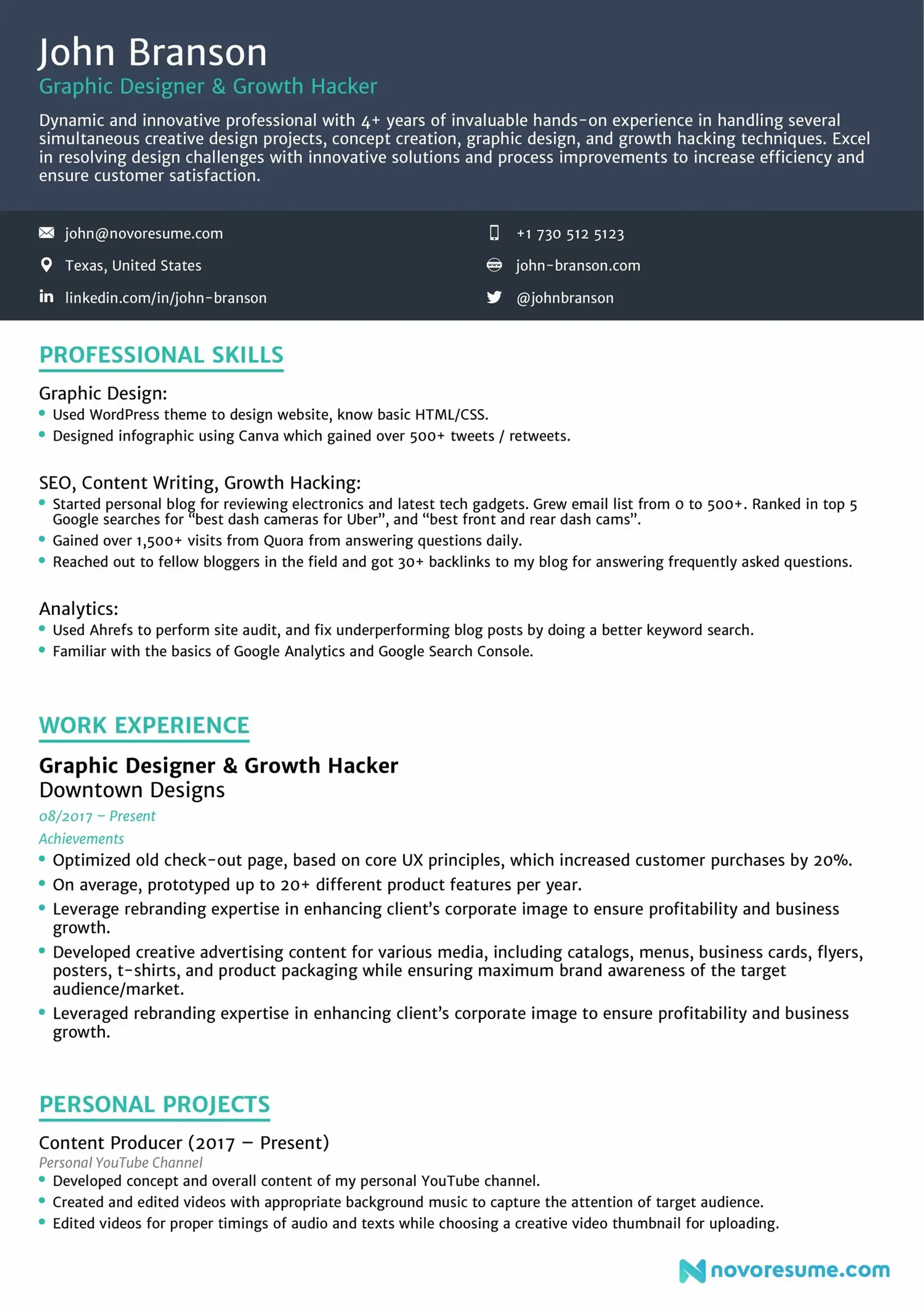 resume formats drafts Combination Resume