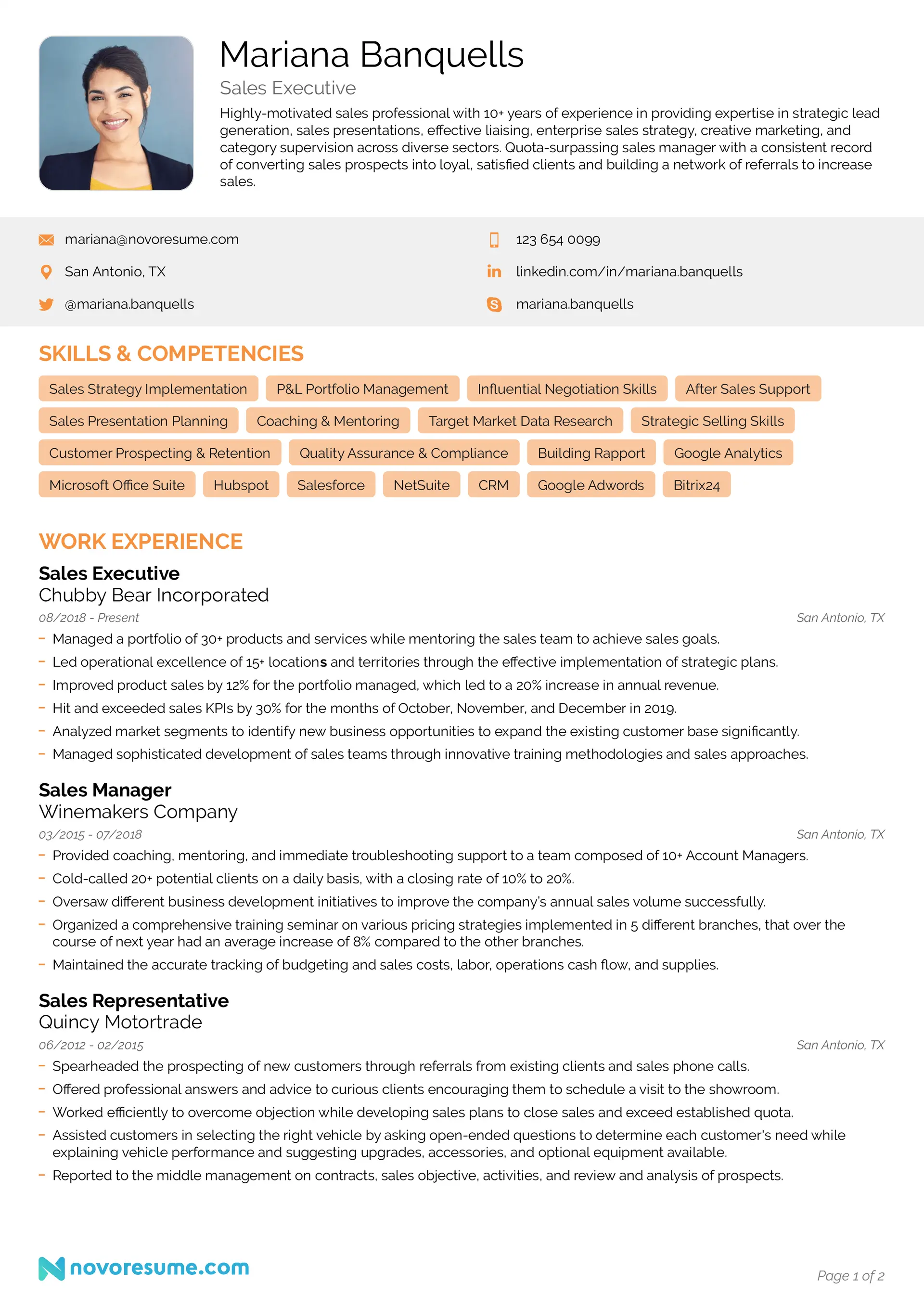 sales resume drafts sales resume
