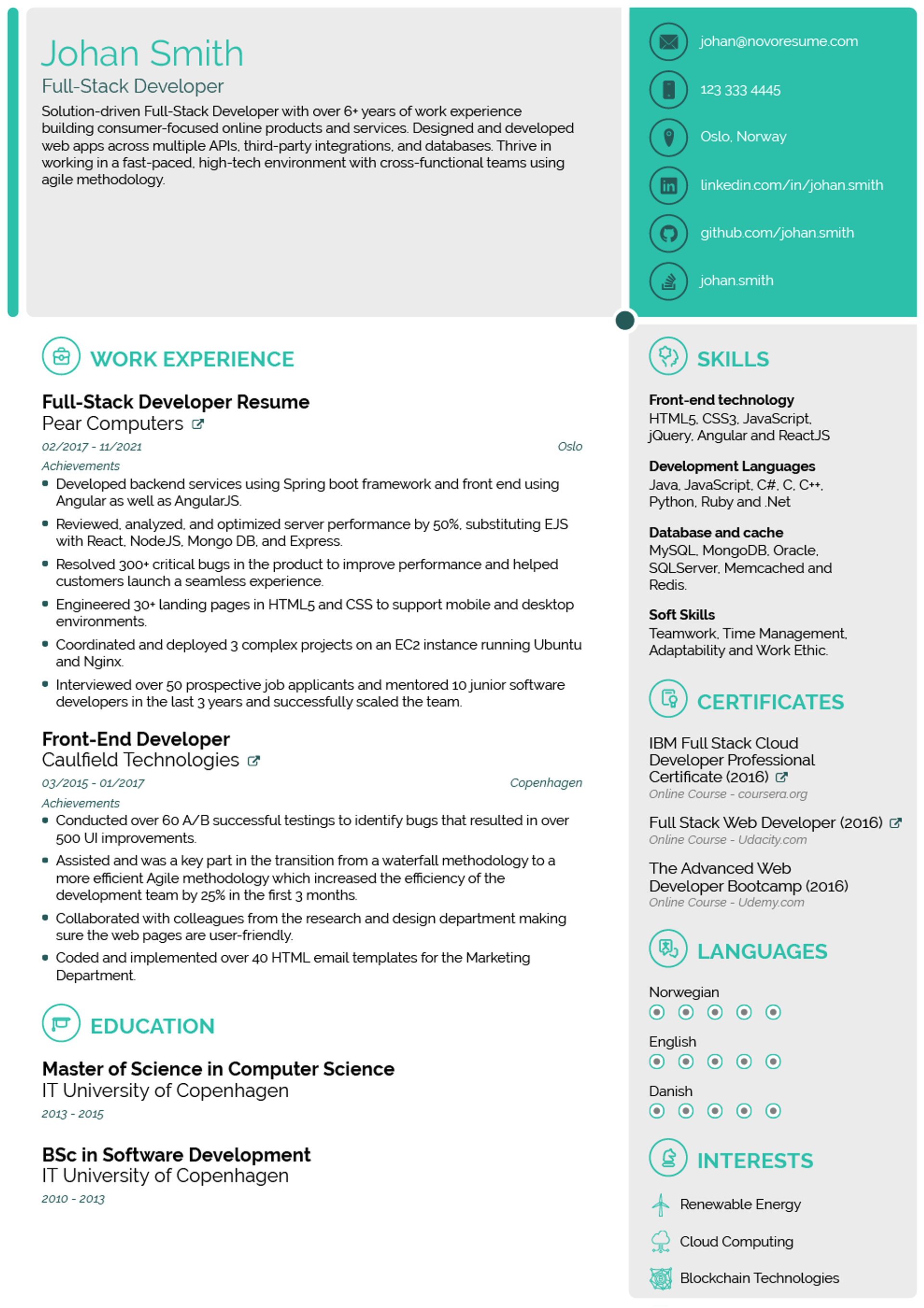uk resume guide drafts UK Resume