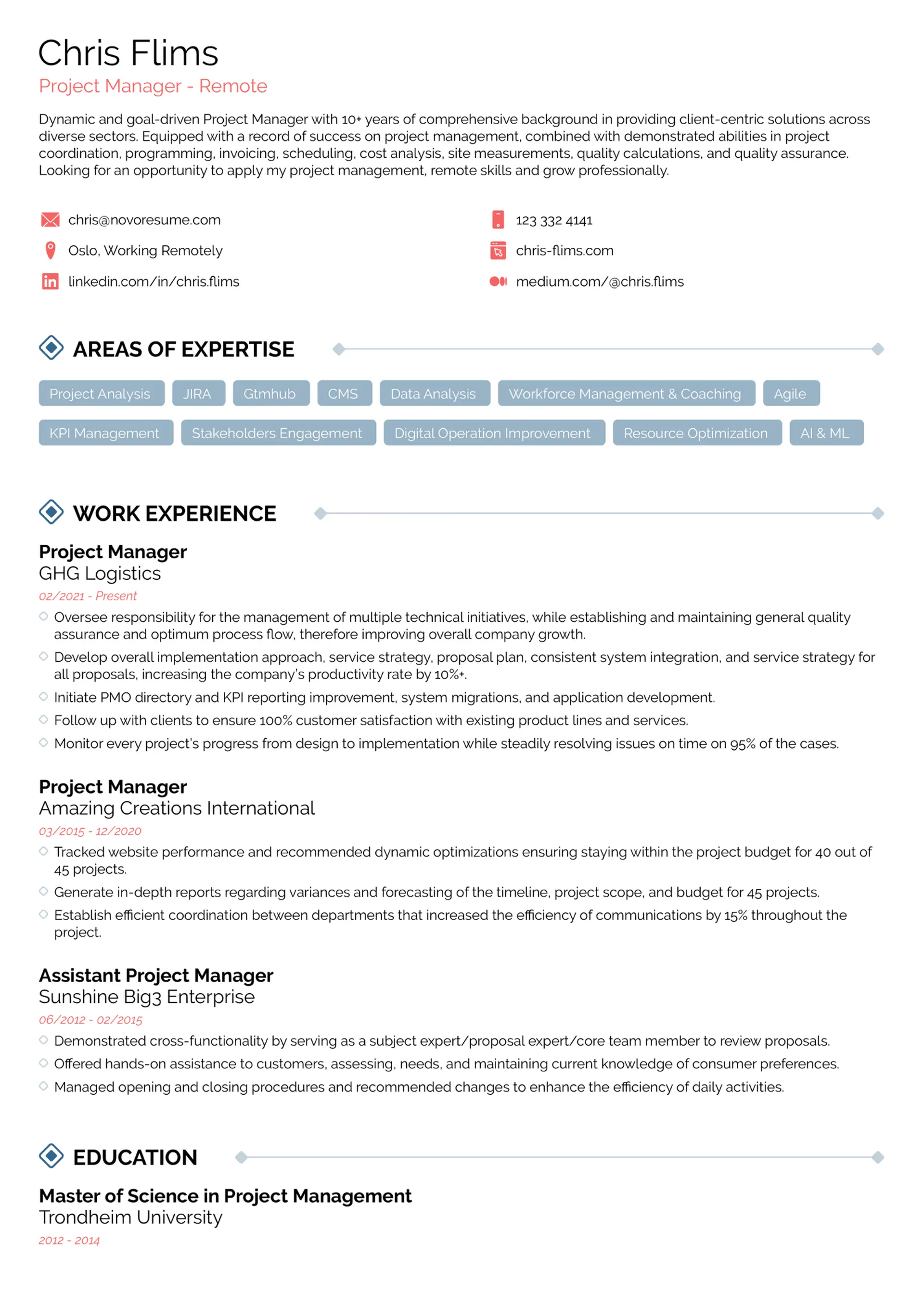 what should a resume look like drafts What Should a Resume Look