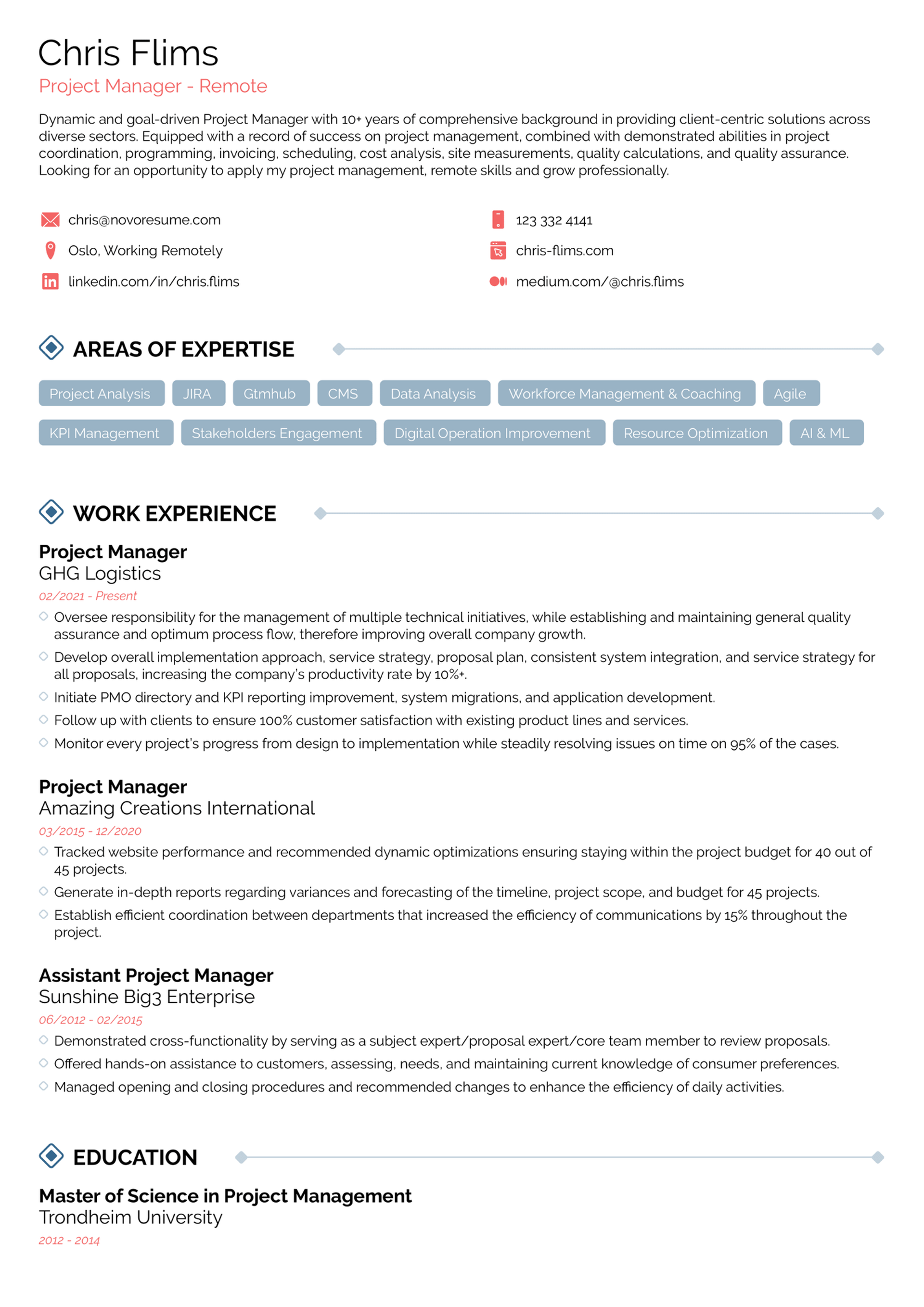 what should a resume look like drafts What Should a Resume Look