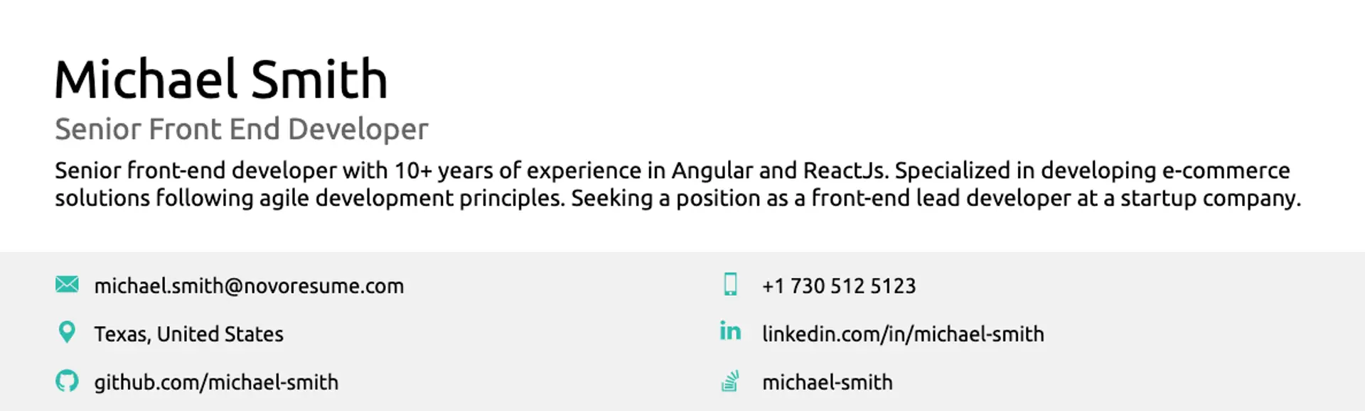what to put on a resume drafts professional summary in resume