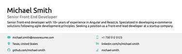 professional summary in resume