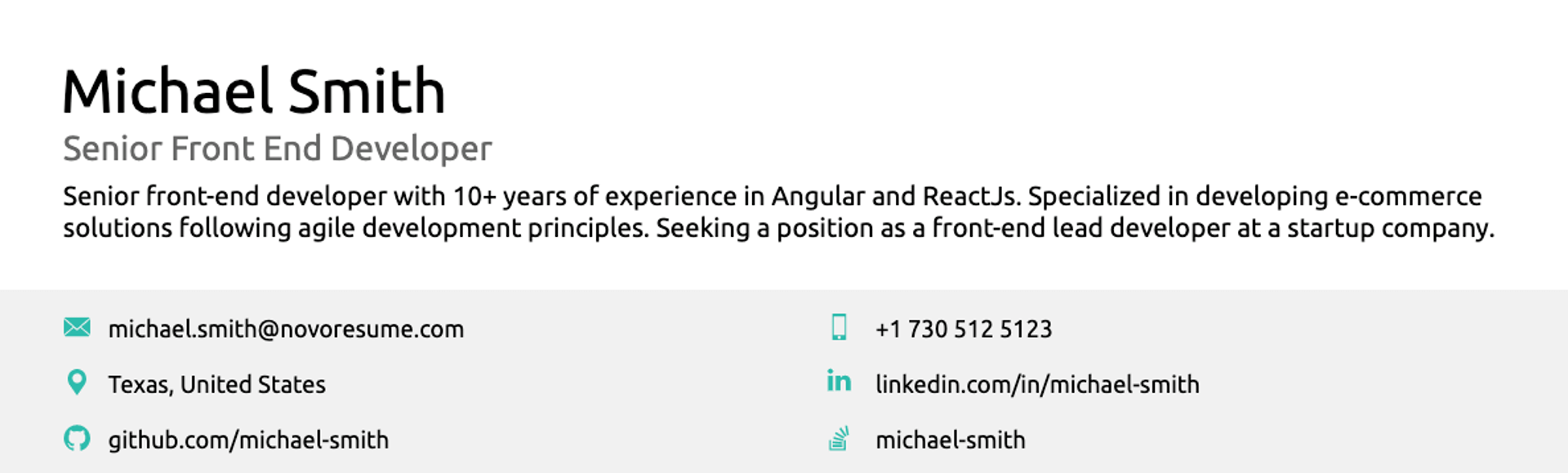 what to put on a resume drafts professional summary in resume