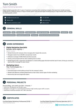 Digital Marketing resume example
