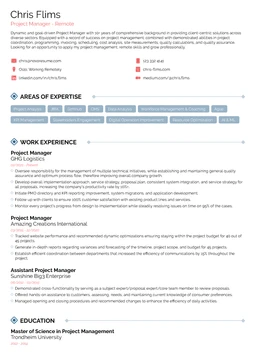 Project Management resume example