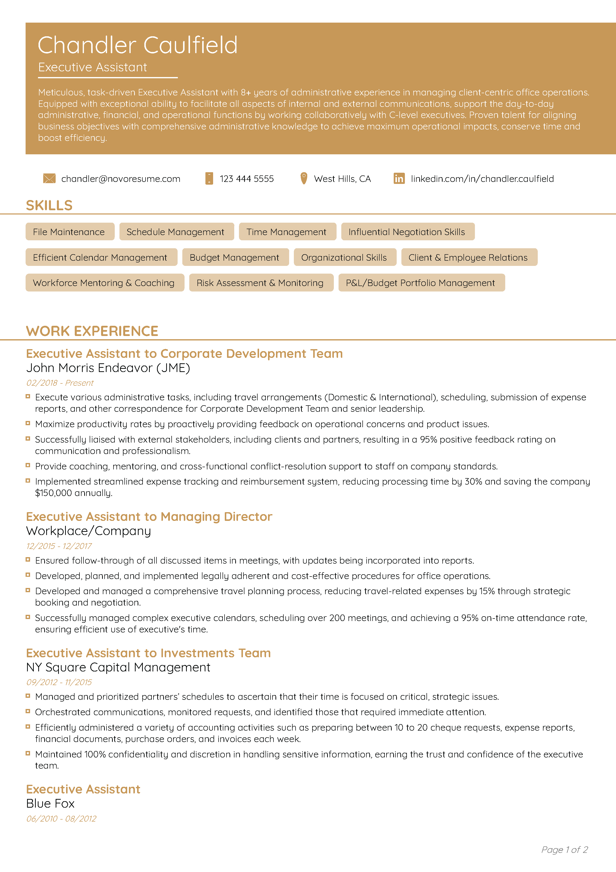 Functional CV Template 1