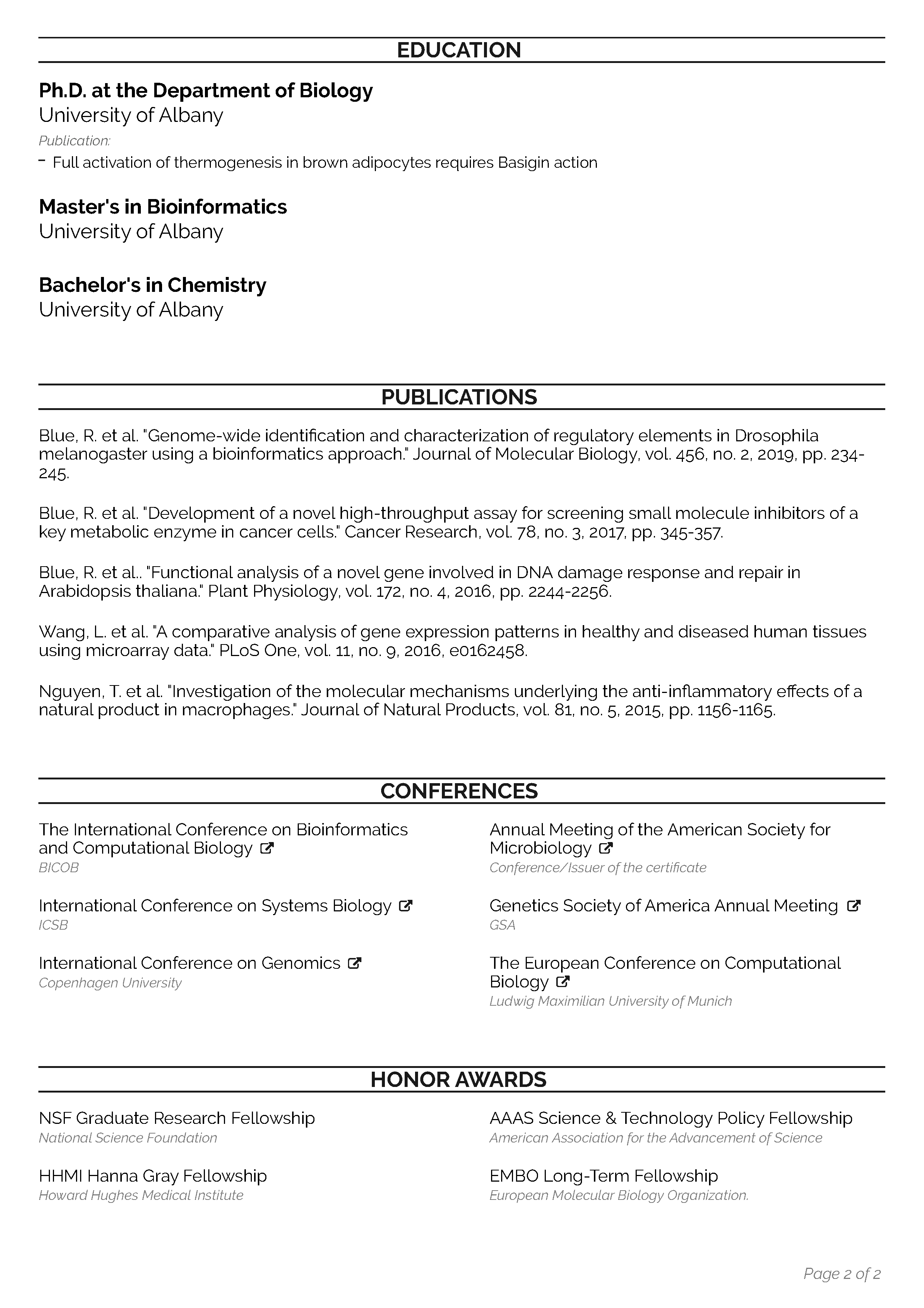 Academic CV Template 2
