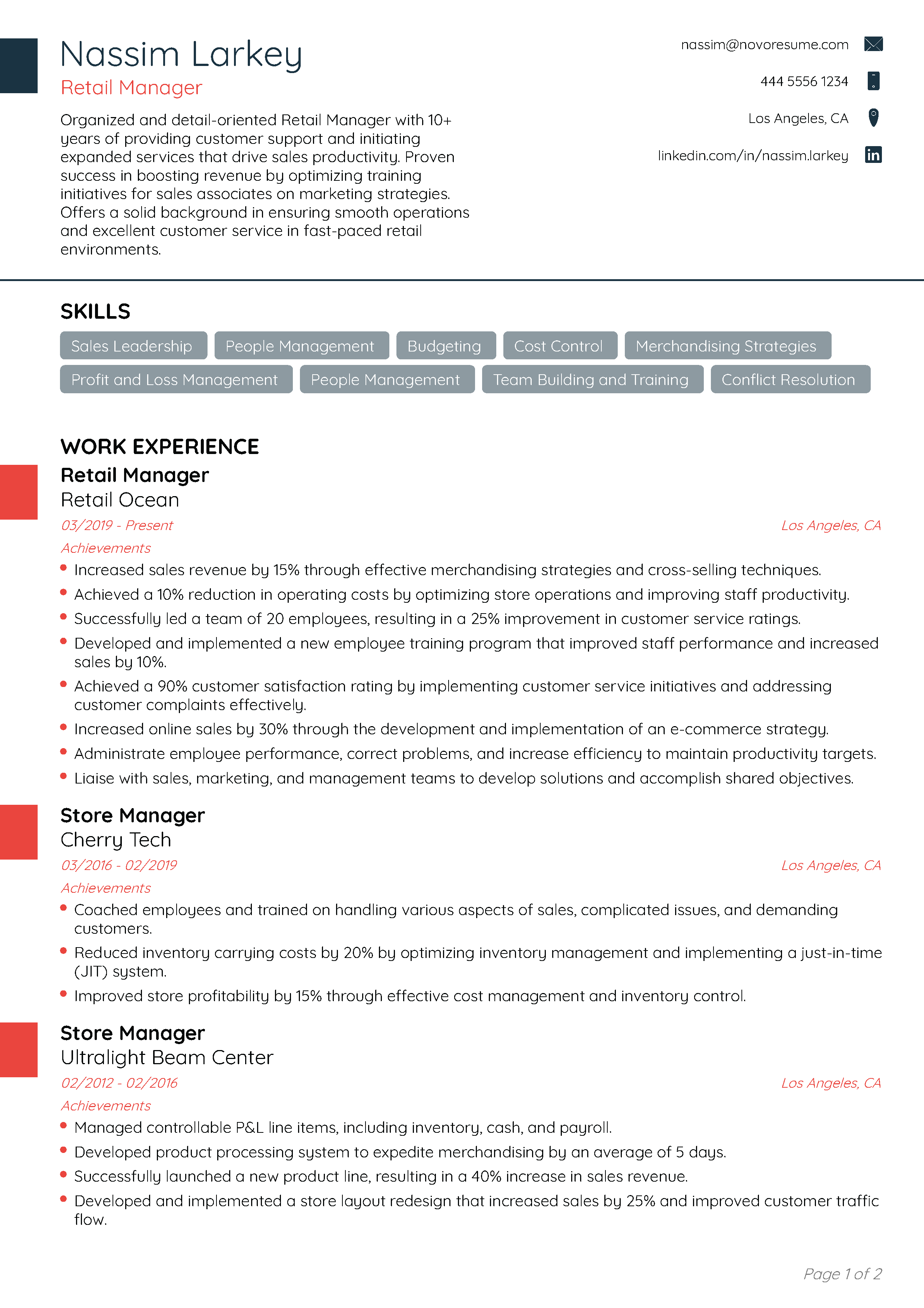 Professional CV Template 1