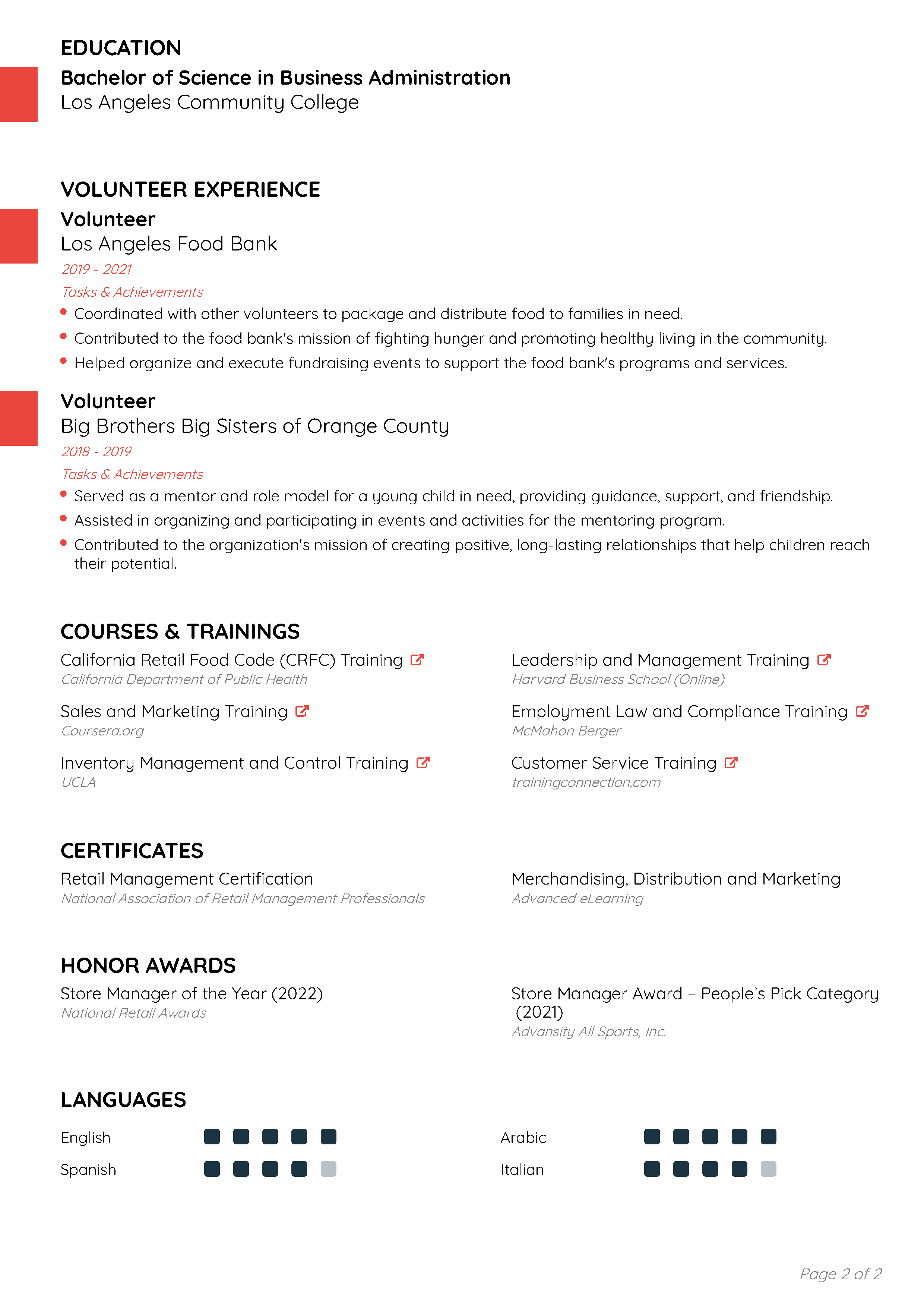 Professional CV Template 2