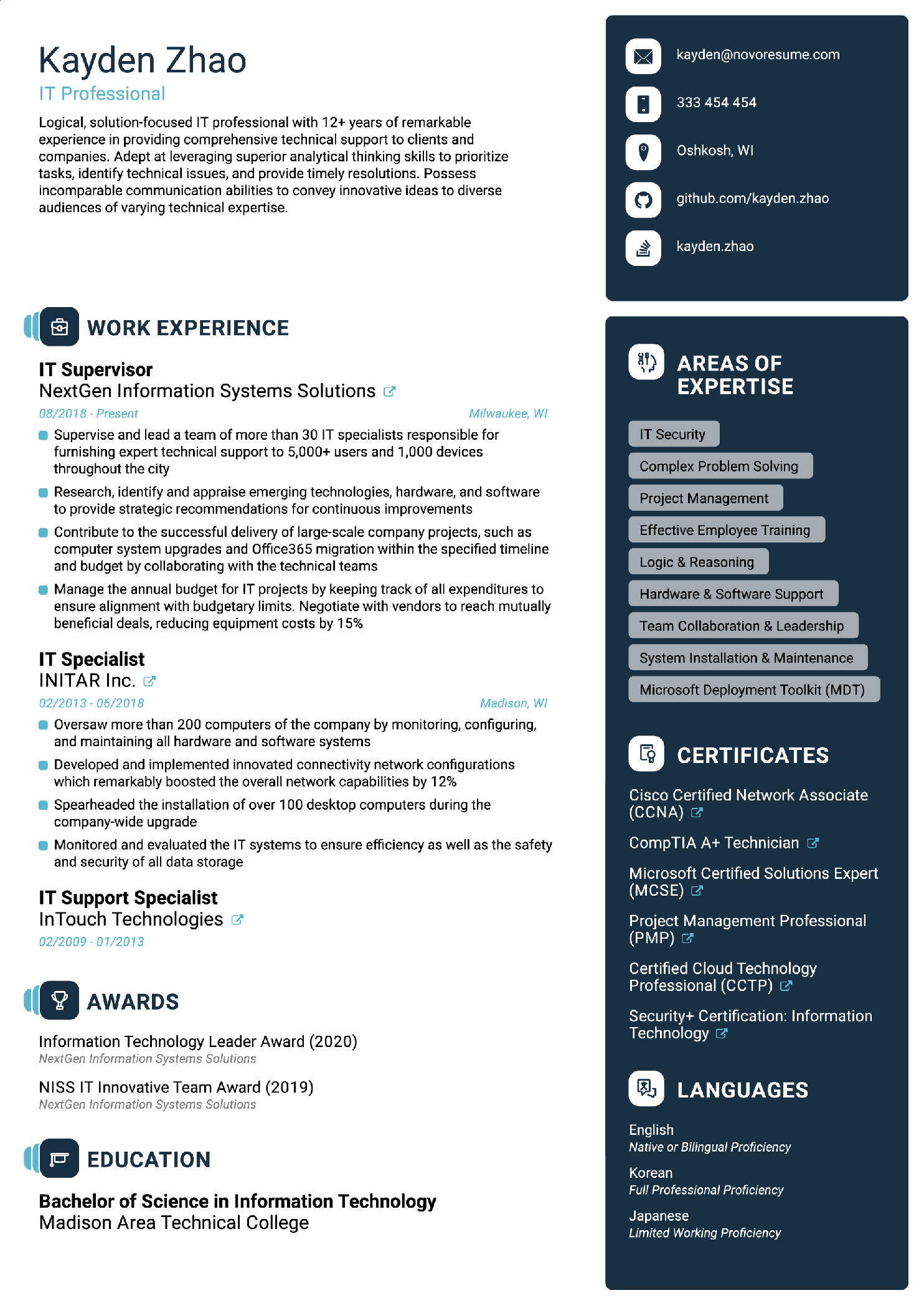 IT CV Template