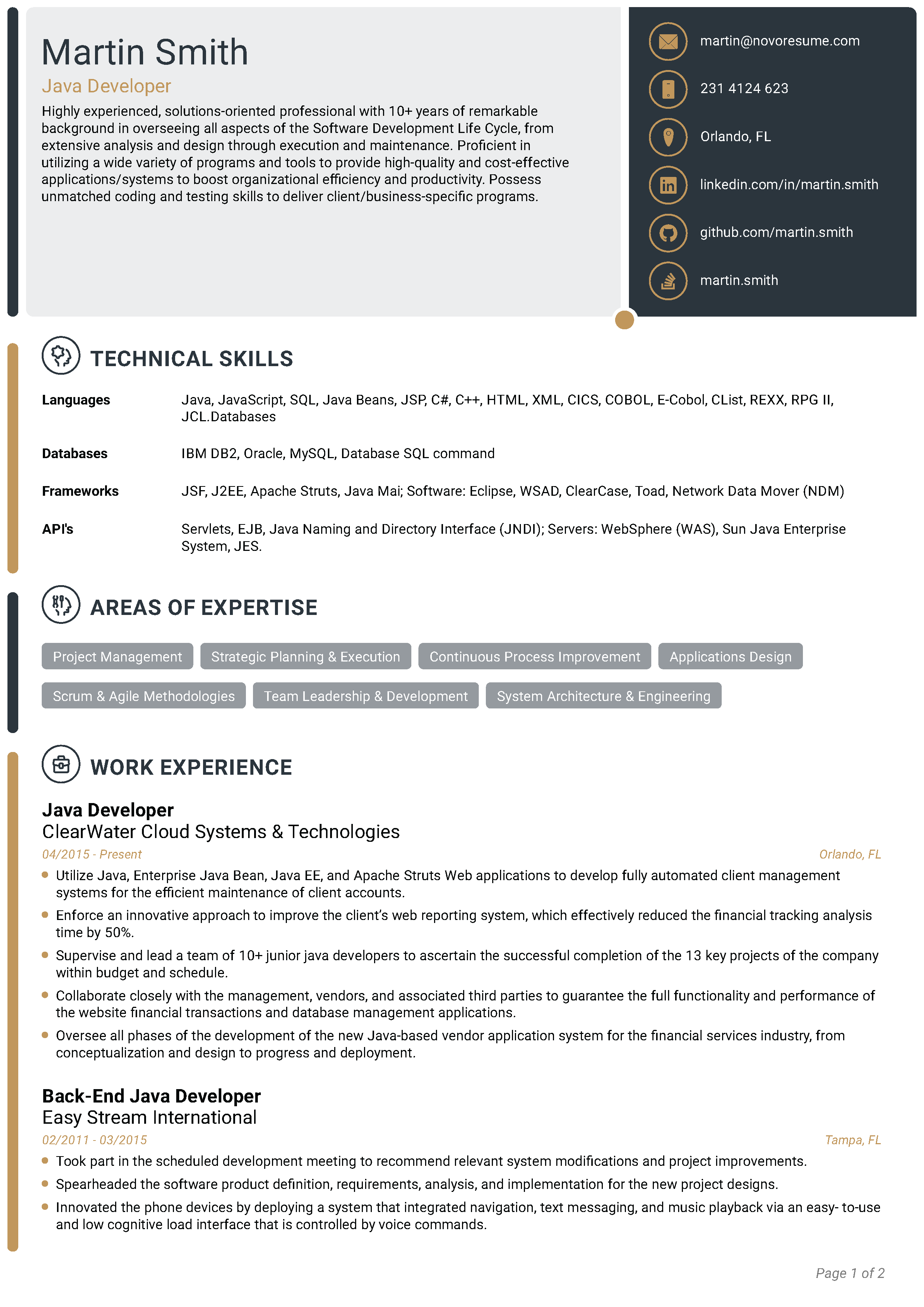 Tech CV Template 1