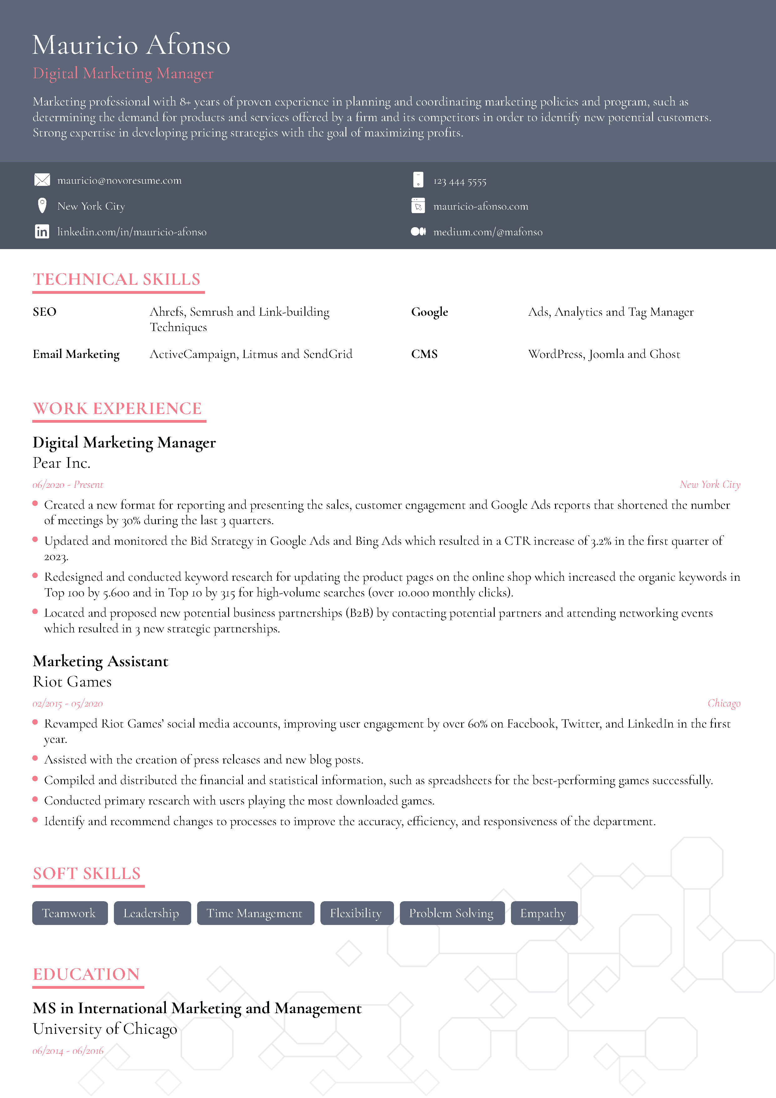 Vision Resume Template