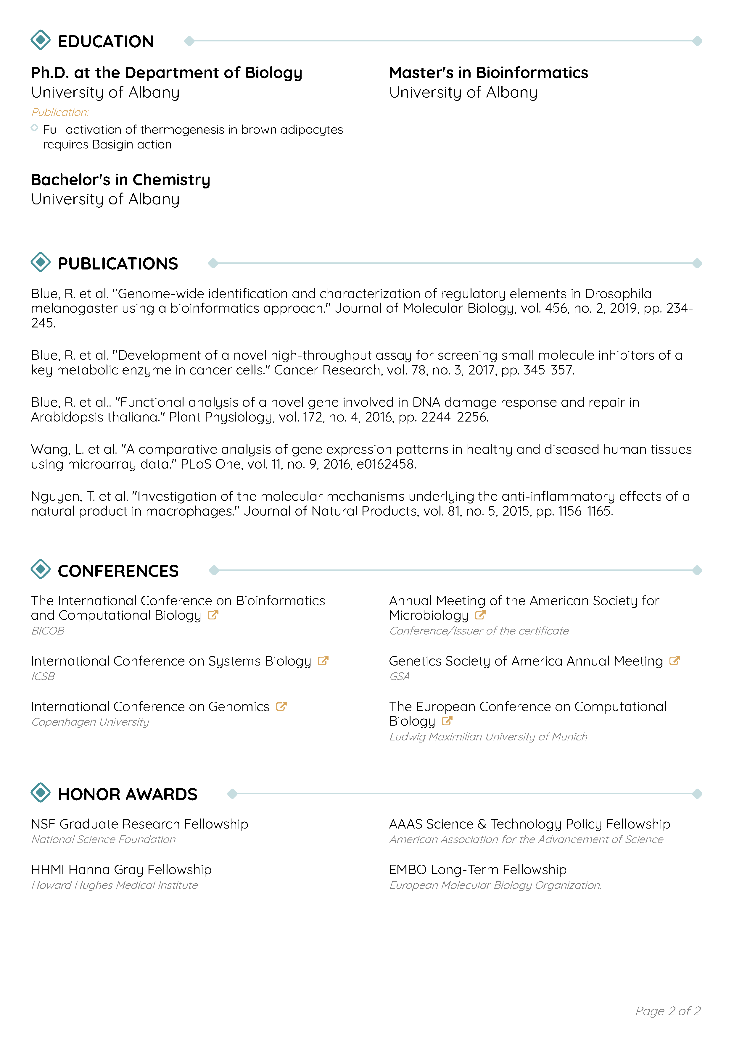 Minimnalist Resume Template 2