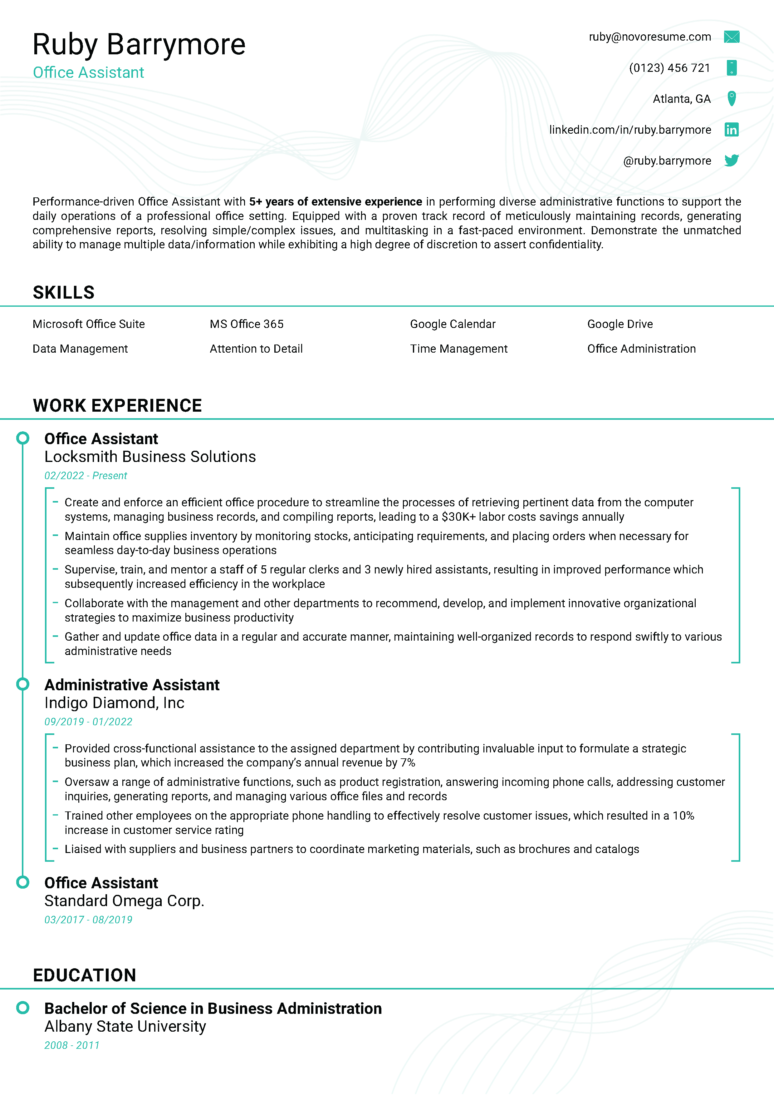 Sleek Resume Template