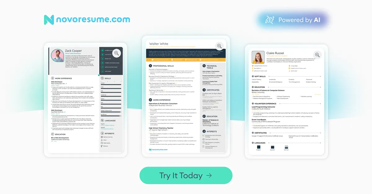 51+ CV Templates (for Every Job & Experience Level)